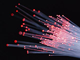 Optical fiber